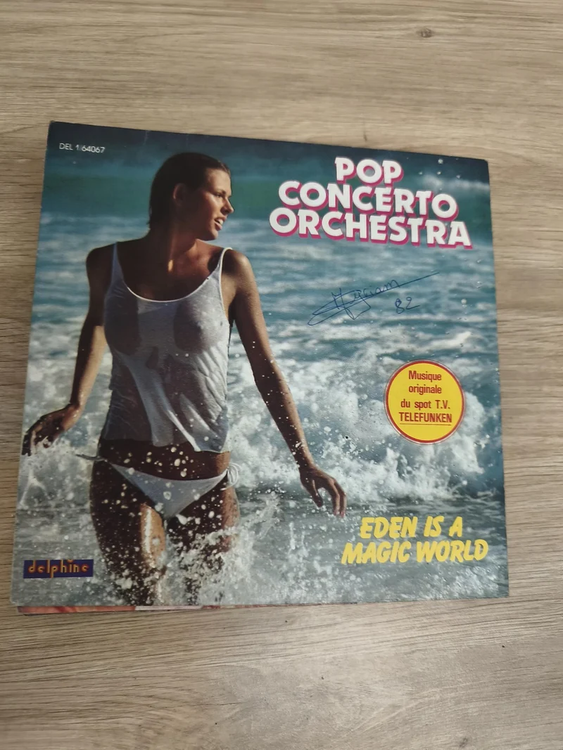 Vinyle 45T Pop Concerto Orchestra Eden Is a Magic World pochette bord de mer