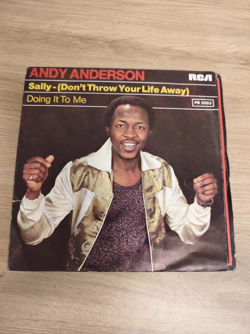 Vinyle 45 tours Andy Anderson Sally / Doing It To Me RCA pochette couleur (Ref 2