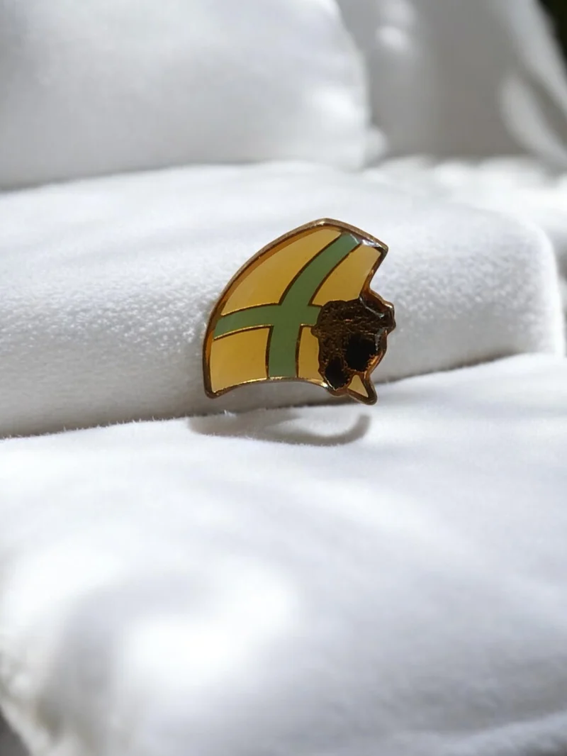 Pin's vintage Olympique de Marseille OM badge rétro jaune vert football ancien