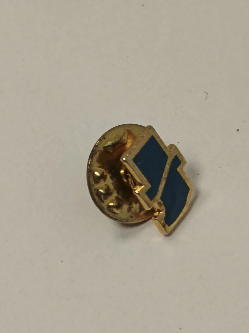 Pin's rétro ancien Facebook badge collection vintage pour amateurs réseaux socia