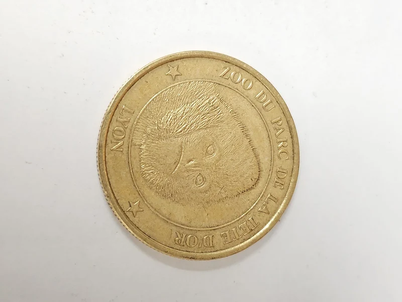 Pièce commémorative Lourdes ? souvenir authentique du célèbre lieu de pèlerinage