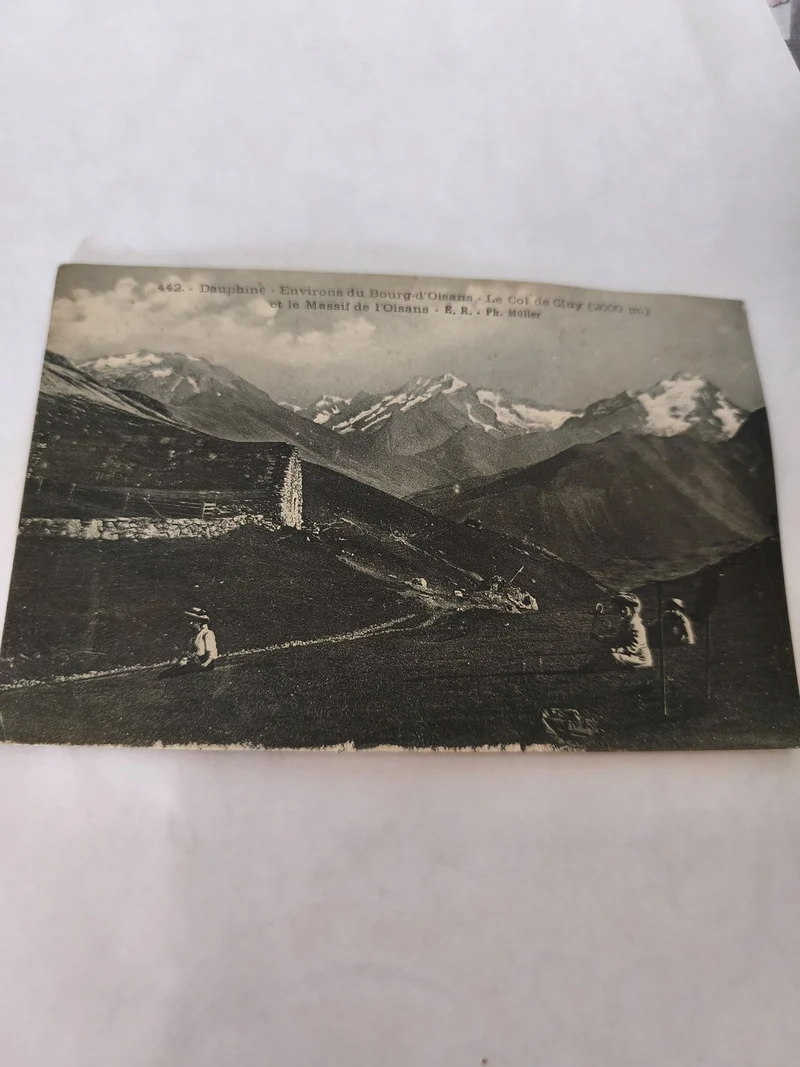 Carte postale vintage dauphin ancien ? Illustration rétro mer collection déco