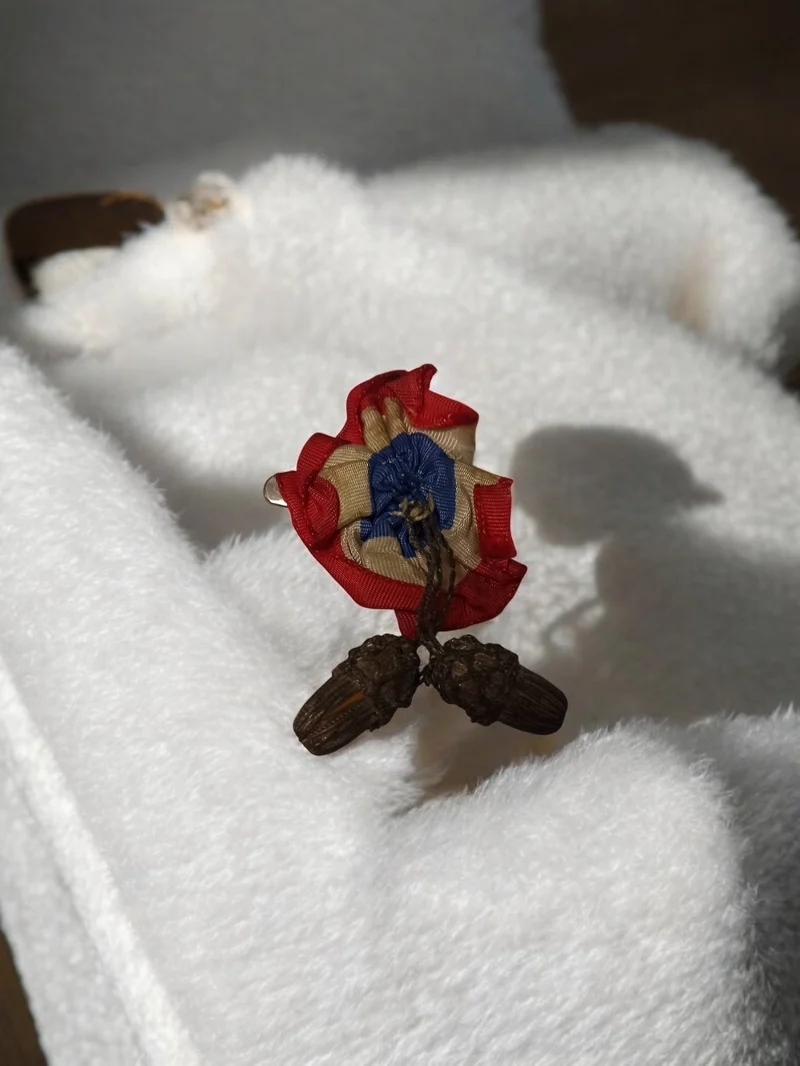 Insigne cocarde ancienne ruban tricolore bleu blanc rouge glands vintage militai