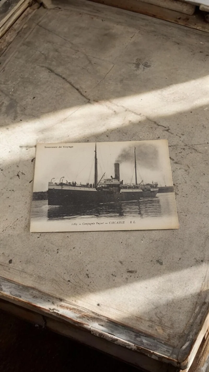 Carte postale ancienne paquebot Circassie Compagnie Paquet maritime vintage