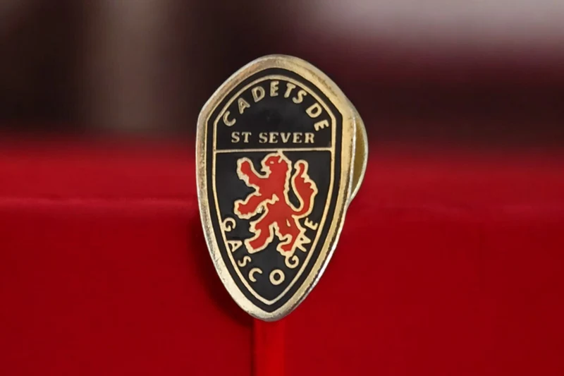 Pin's vintage Cadets de Gascogne St Sever blason lion rouge collection