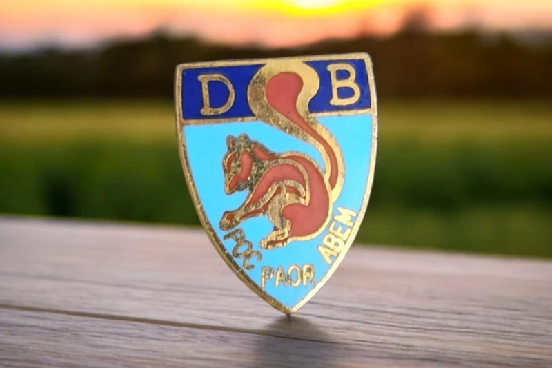 Pin's vintage écureuil DB POC PAOR ABEM émaillé ancien rare insigne badge