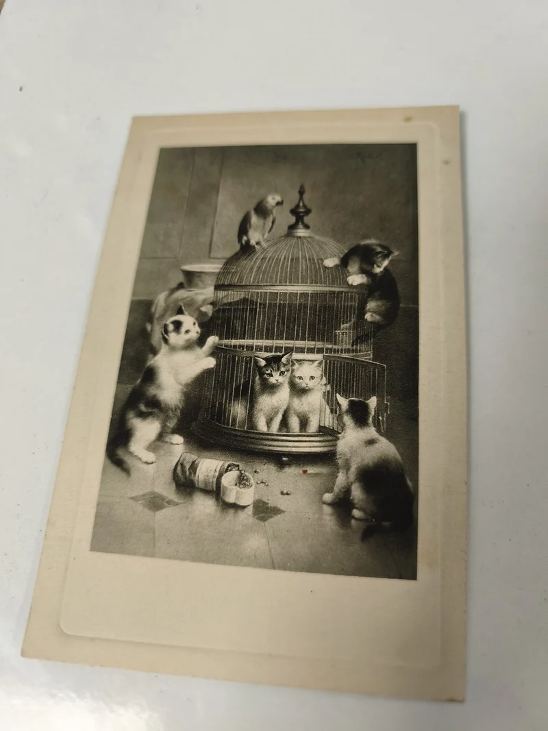Carte postale vintage ancienne chats illustrés collection rétro félin décoratif
