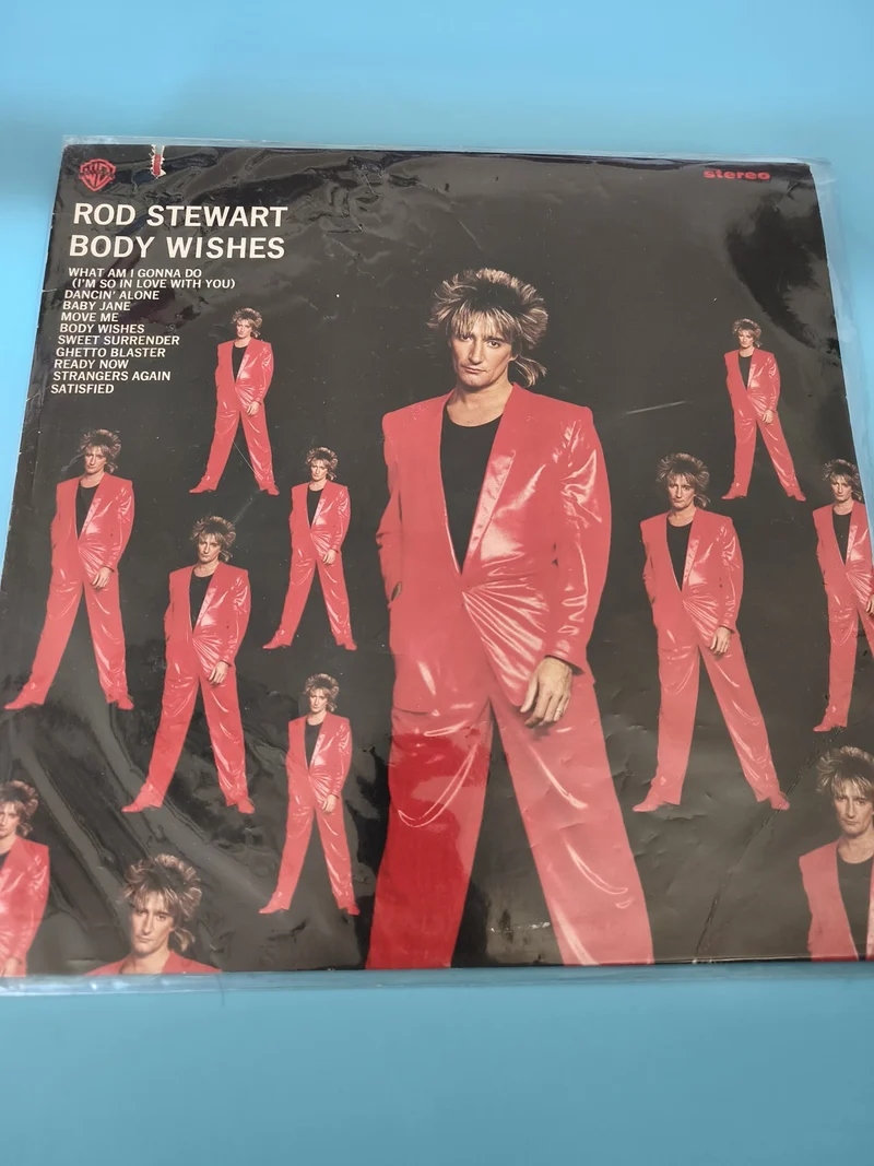 Vinyle 33 tours ancien Rod Stewart rétro, disque vintage collection musique rock