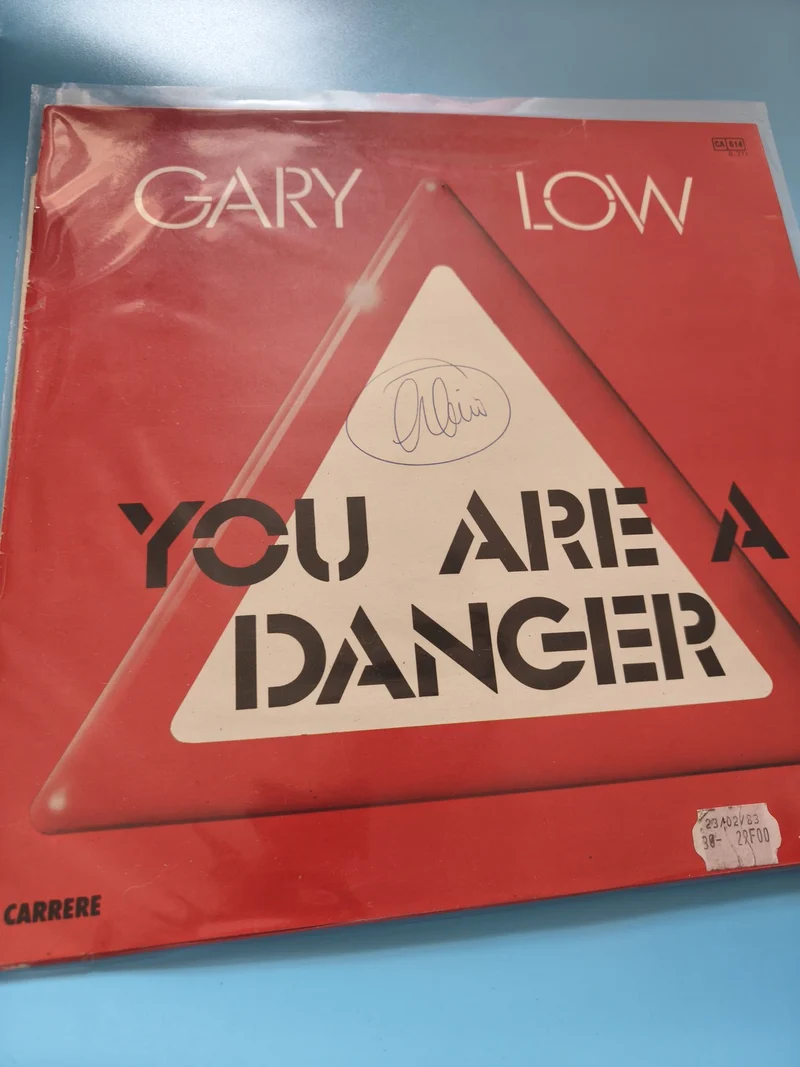 Vinyle 33T rétro Gary Low ancien disque collector pour amateurs et collectionneu