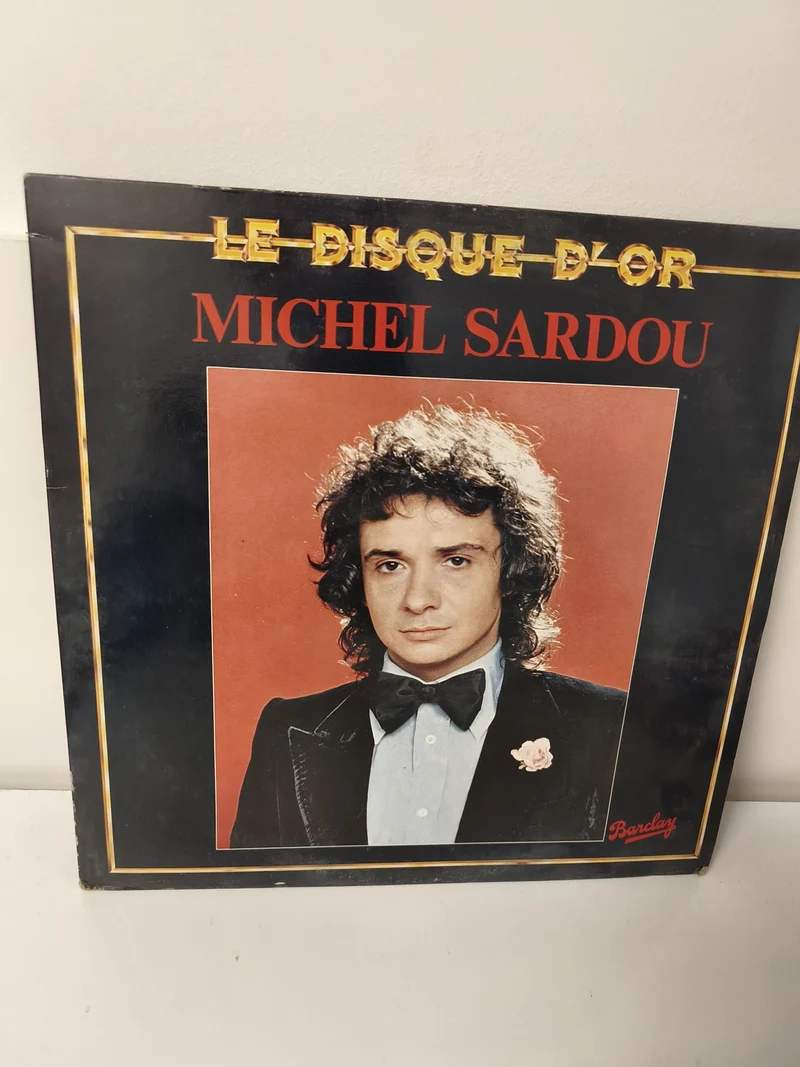 Vinyle 33T ancien Michel Sardou, disque rétro collection, musique française vint