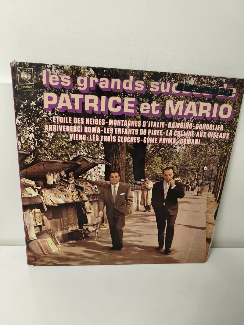 Vinyle 33T ancien rétro Patrice et Mario disque collector vintage chanson frança