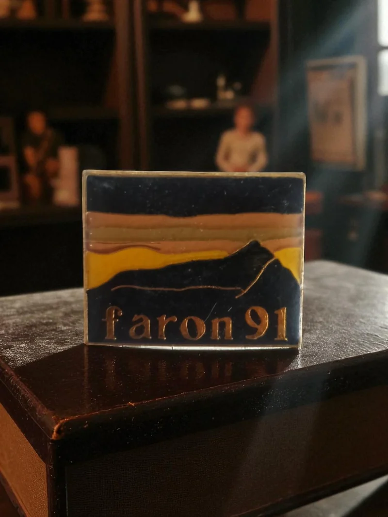 Pin's ancien Faron 91 publicitaire vintage rétro relief décor paysage