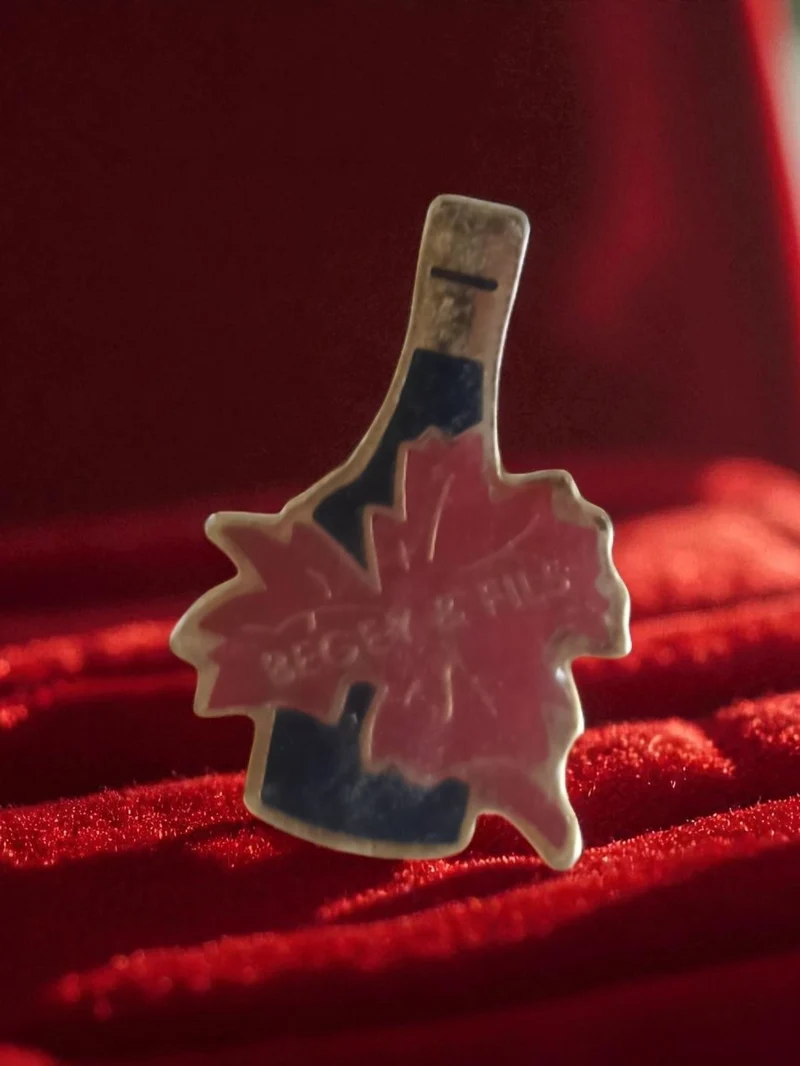 Pin's ancien Beger & Fils bouteille feuille rétro publicité vintage
