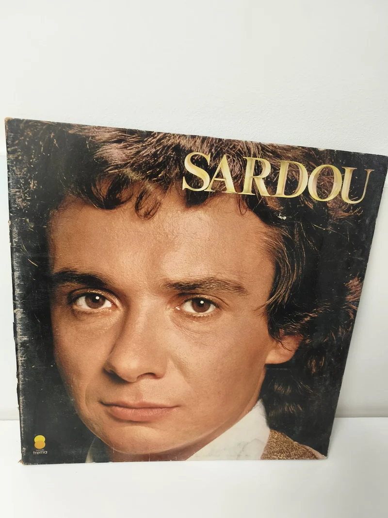 Disque vinyle ancien 33 tours Michel Sardou rétro collection musique française