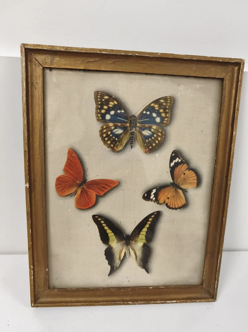 Grand cadre ancien rétro décoratif avec impression de papillons ? vintage collec