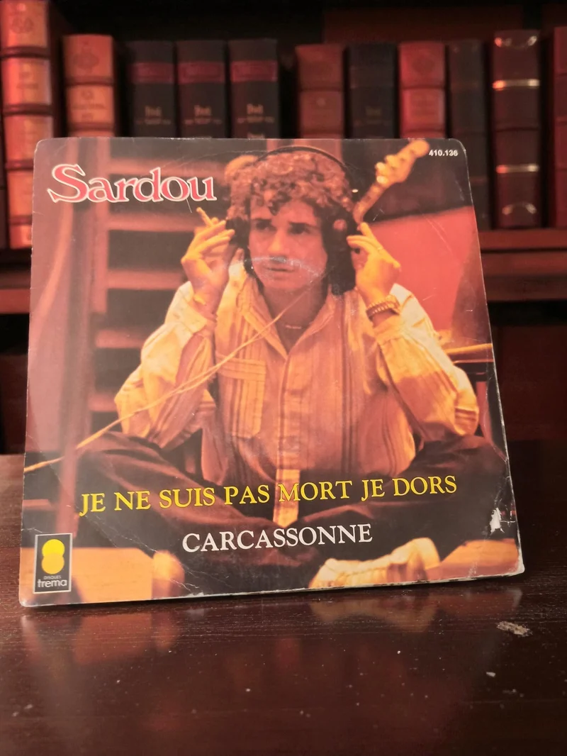 Vintage 45 tours ancien vinyle Michel Sardou occasion collection rétro état