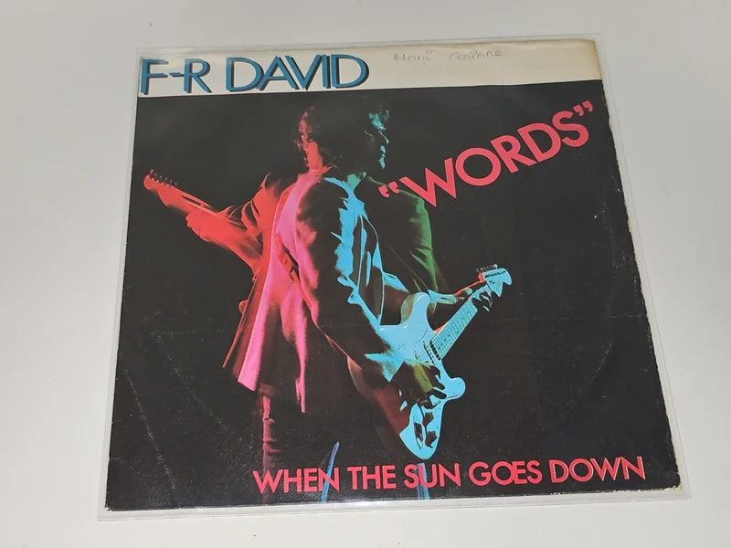 Vinyle 45 tours ancien F-R David rétro collection musique pop vintage occasion