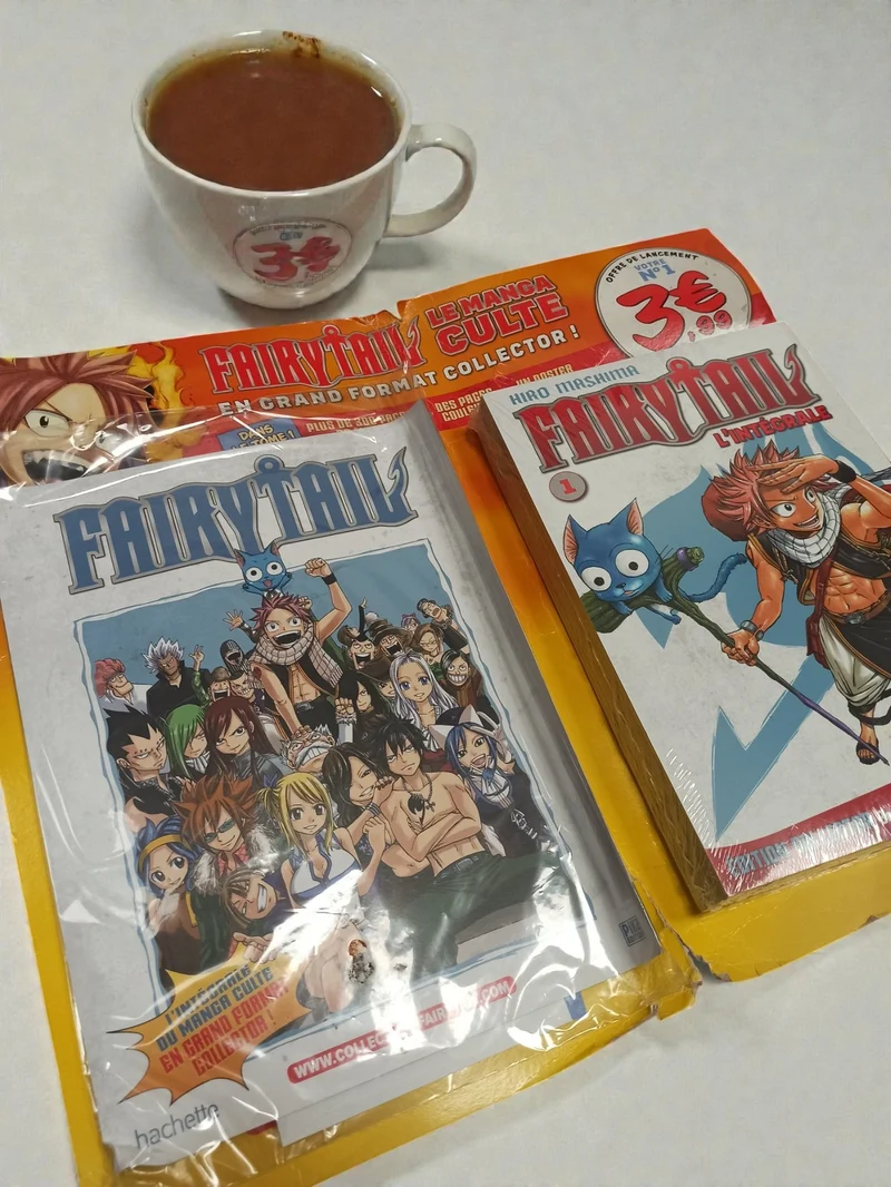 Manga Fairy Tail Intégrale Grand Format Hachette Tome Complet Occasion France