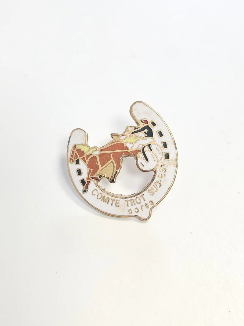 Pin's ancien rétro Comte Trot Sud Est badge collection vintage France rare